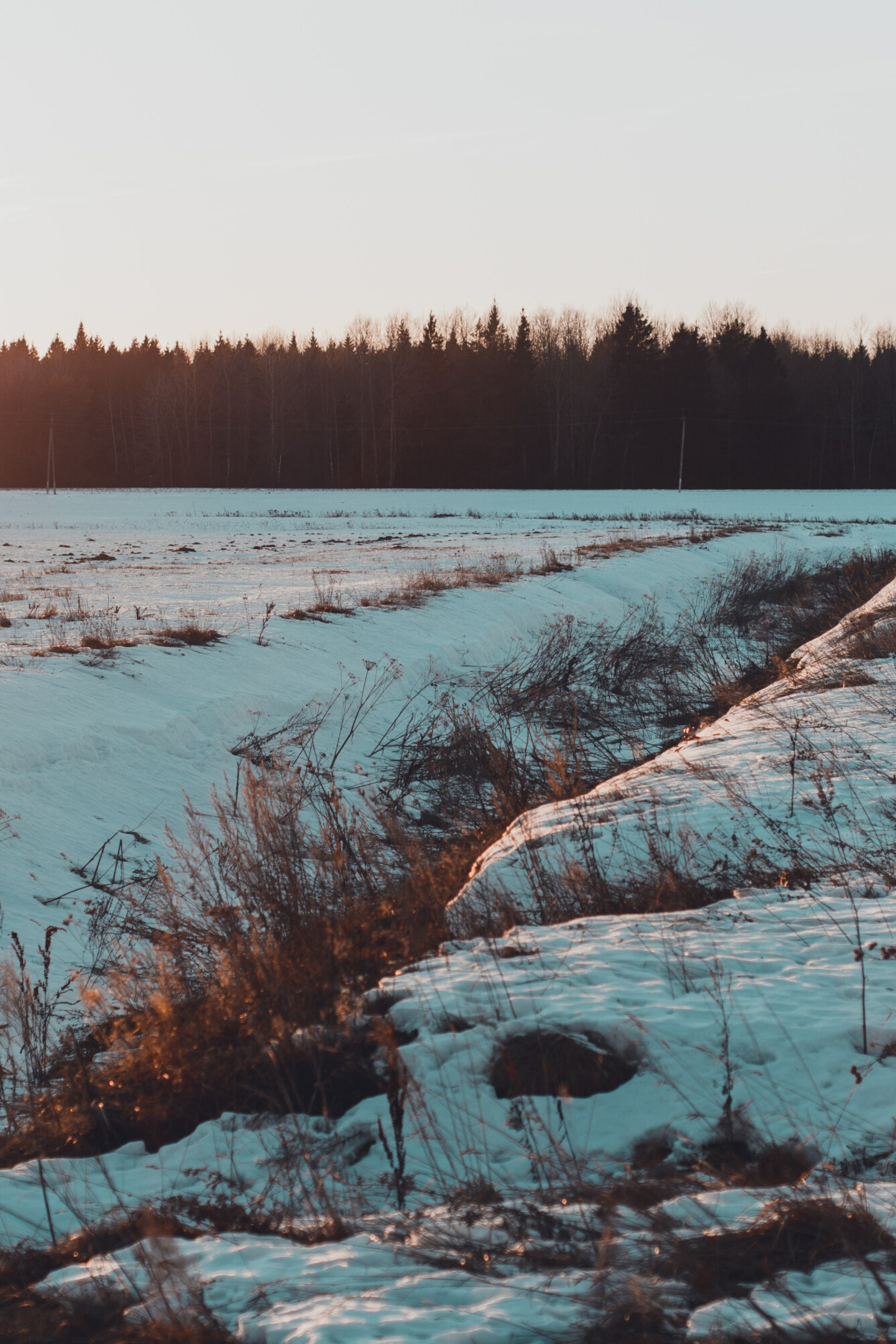 gs-agri_Feld_Winter_Schnee